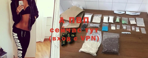 стафф Михайлов