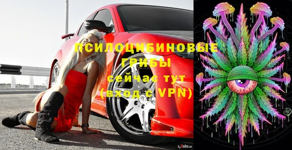 apvp Михайловск