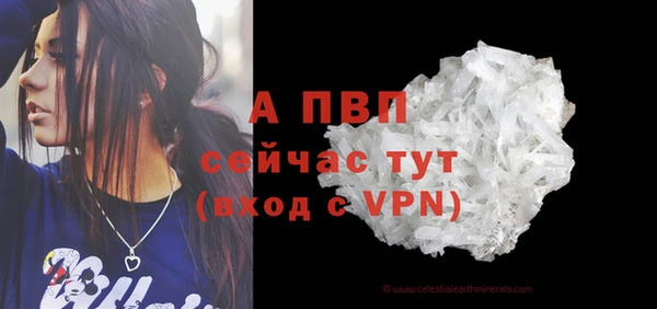 стафф Михайлов