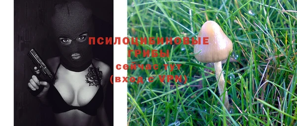 apvp Михайловск